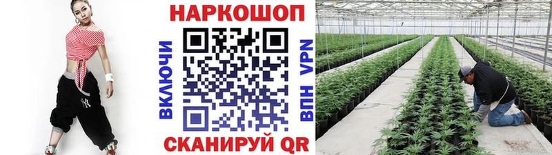 Наркошоп купить Кокаин  МЕФ  СК  Канабис  Сорочинск
