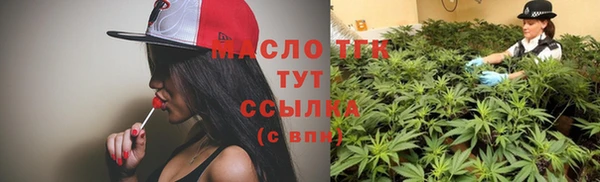 индика Гусь-Хрустальный
