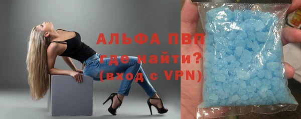 PSILOCYBIN Горняк