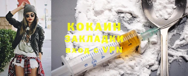 PSILOCYBIN Горняк