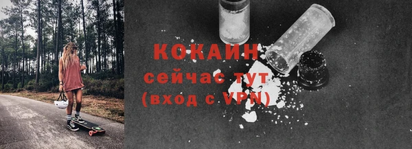 PSILOCYBIN Горняк