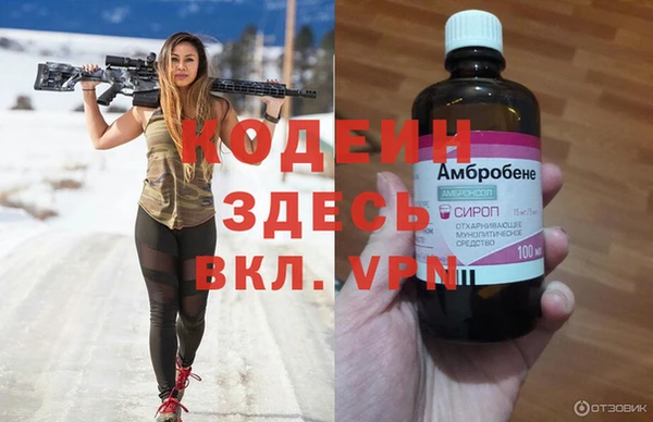 PSILOCYBIN Горняк