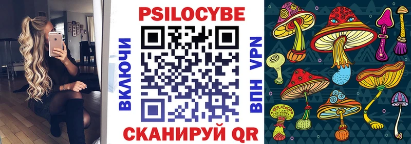 Купить  Сорочинск  Псилоцибиновые грибы MAGIC MUSHROOMS 